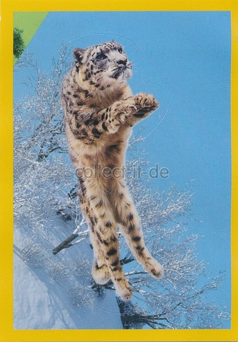 Panini national geographic - national,