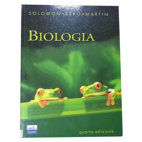 Solomon berg martin - -,