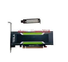 Nvidia tesla acceleratore - nvidia, m4