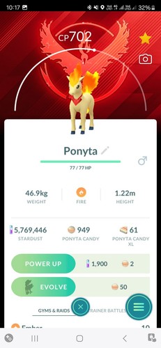 Ponyta accessorio candela - ponyta, (accessorio