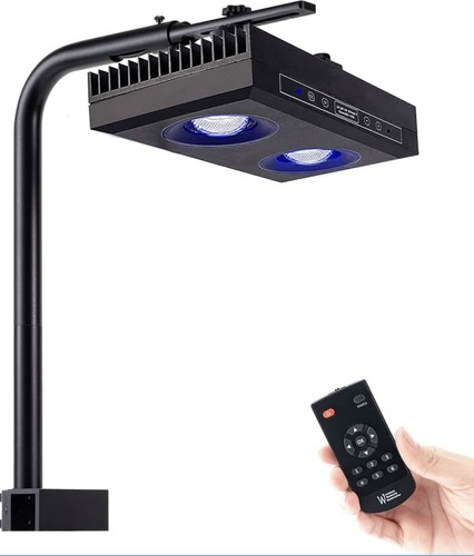 Luce acquario watt alba - -,
