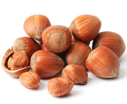 Nocciole avellino guscio - in,
