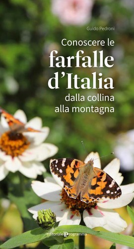 Libri pedroni guido - libri,