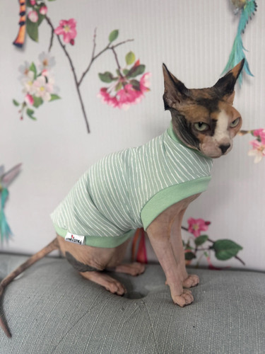 Shirt maglione gatto - gatto, cotone