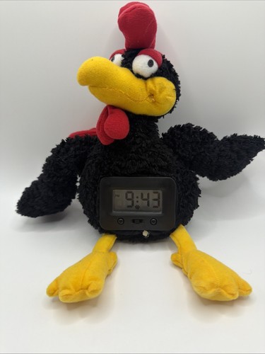 Sveglia lancio pollo di - lancio,
