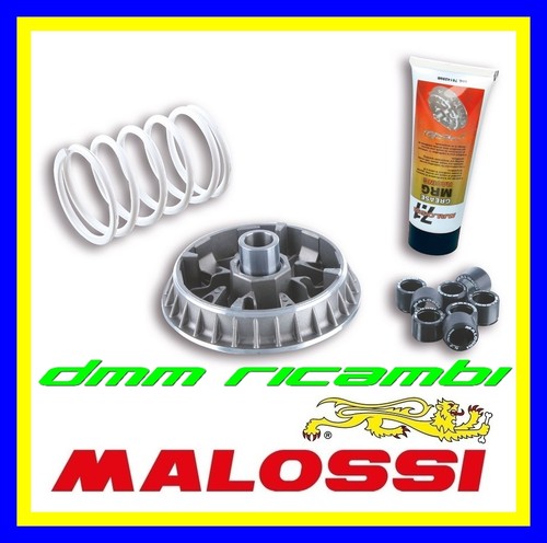 Variatore malossi multivar - malossi,