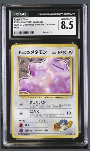 Koga ditto gym 2 - ditto,