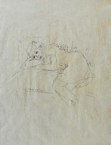 Orfeo tamburi jesi 1901 - orfeo, (jesi