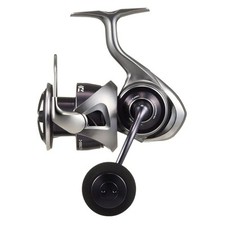 Daiwa 25 CALDIA LT5000-C
