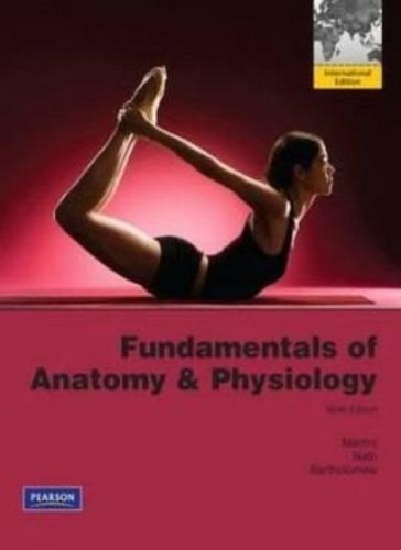 Fundamentals anatomy - of, &