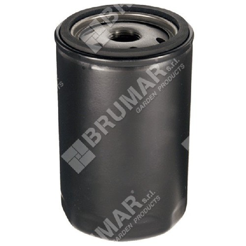 Filtro olio per motori