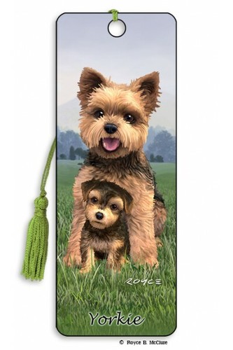 Yorkie yorkshire terrier - terrier, small
