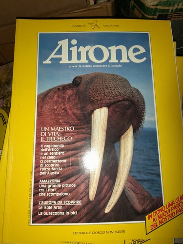 Rivista airone giugno - rivista,