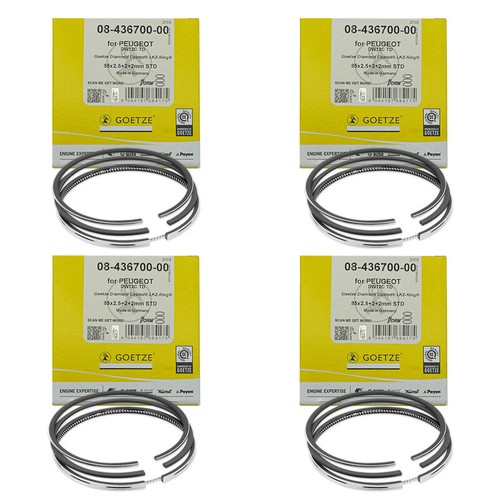 Kit anelli pistone std - anelli,