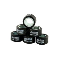 Rulli variatore POLINI 20X12 10,1 gr per Suzuki 400 AN Burgman 2009-2025