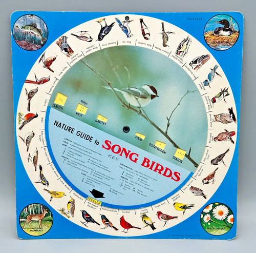 1975 guida natura alla canzone - natura,