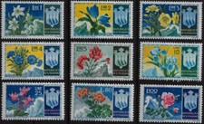 1953 San Marino Fiori - 1°