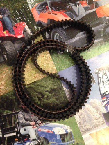 360 cinghia dentata doppia - n.360,