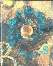 SCIAMI. BRUNO CECCOBELLI BOATTO - IOVANE FABBRI EDITORI 1991  RILEGATO