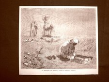 The Prayer of the Desert