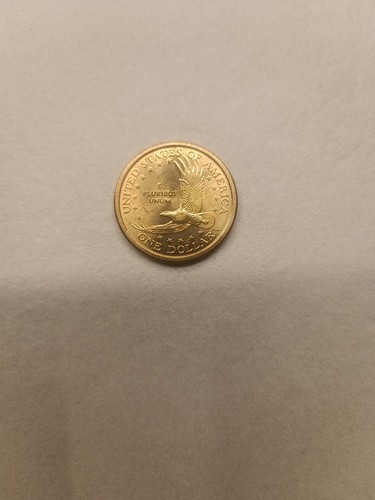 Raro dollaro sacagawea anno - raro,