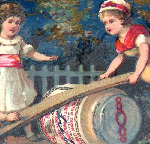 Estratto carne 1880 liebig - di,