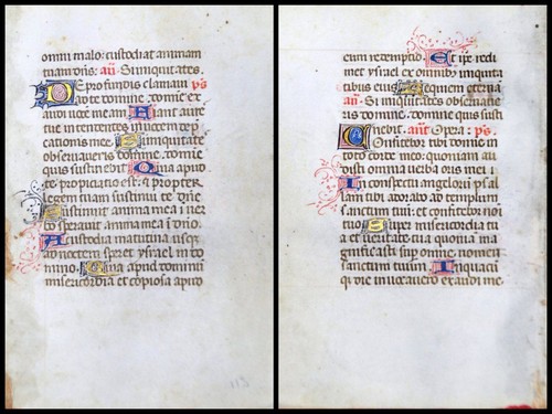 Grafia pergamena foglia - pergamena,