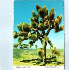 Non spedito - Albero di