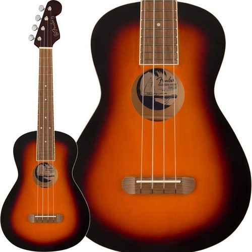 Fender acoustics summer - fender,