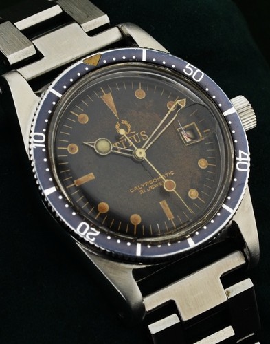 Rara corona grande - , titus