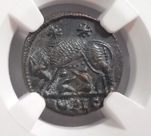 Gemelli lupo costantiniani ngc - gemelli,