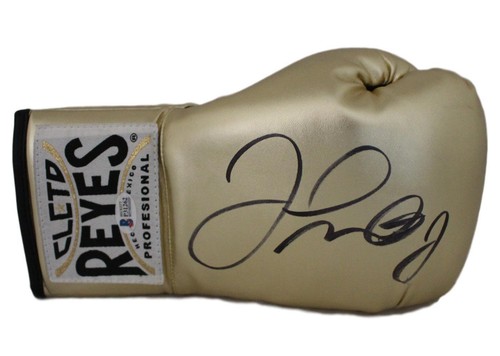 Guantone boxe floyd - guantone,
