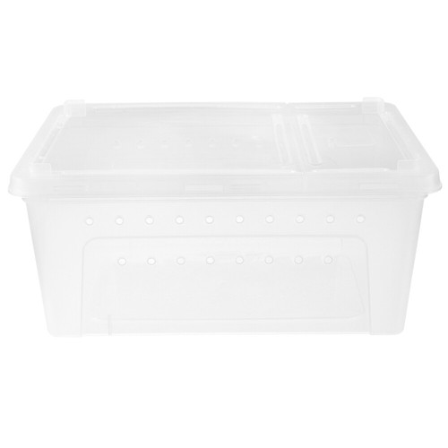 Scatola ibernazione tartaruga - ,