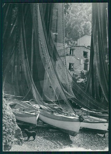 Genova camogli san - genova,