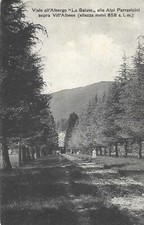 Viale Albergo "La Salute" Vill'Albese -Albavilla Como Viaggiata 1909 Parravicini