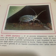 FIGURINA N. 355 ANIMALI ED