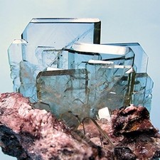 Pilia Stefano E Pupillo