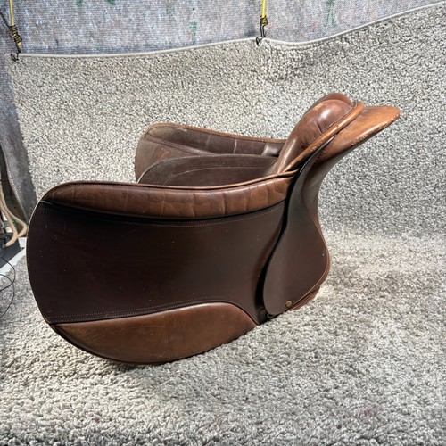 Frank baines piroetta dressage - frank,