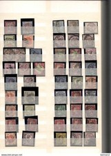 GIGANTESCA RACCOLTA DI PERFIN