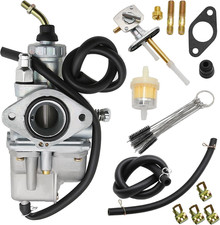 Carburatore Yamaha Timberwolf