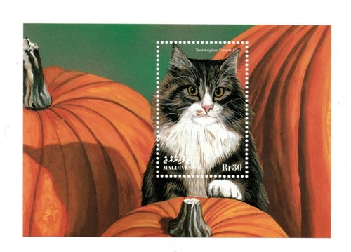 Maldive 1998 gatto delle - 1998,