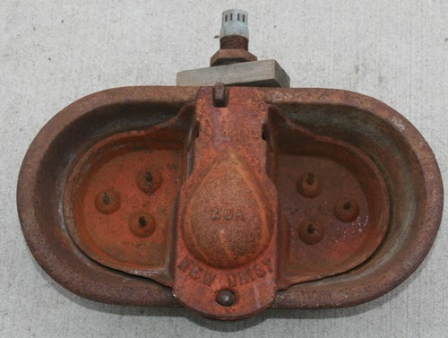 Antica ciotola acqua bovini