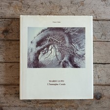 Franco Solmi, Mario Lupo