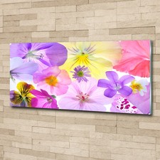 Quadro immagine arte - da, parete