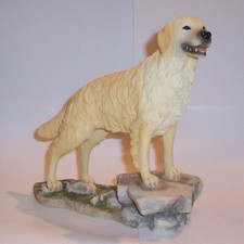 Best breed golden - of,