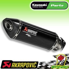 Terminale Scarico Akrapovic in