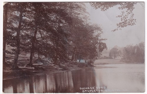 Duchess pond stapleton bristol - pond,