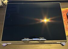 Display macbook pro 16 2019