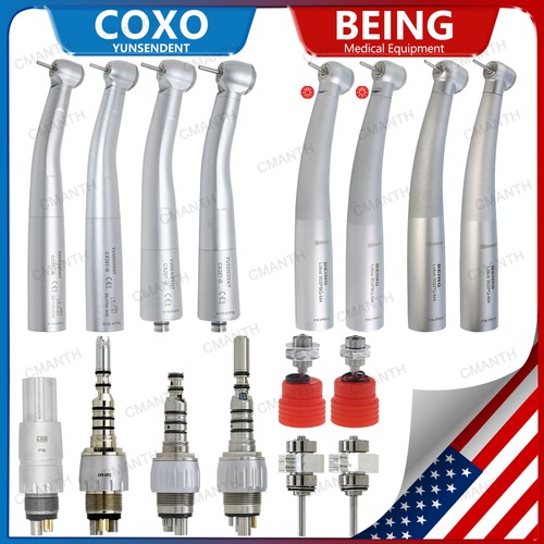 Coxo being dental - coxo,