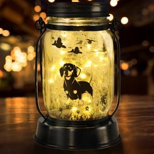 Bassotto Lanterne Solari